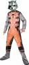 Rubies Guardians of The Galaxy Rocket Raccoon Costume, Child Small