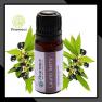 Laurel berry Oil Therapeutic Grade 10 ML