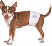 So Phresh Comfort Dry Disposable Male Dog Wraps