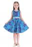 Happy Rose Vintage Floral Party Girl's Dress Color: Blue Butterfly size 6