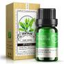 Tree Tea Oil for Acne Scar Removal Cysti…